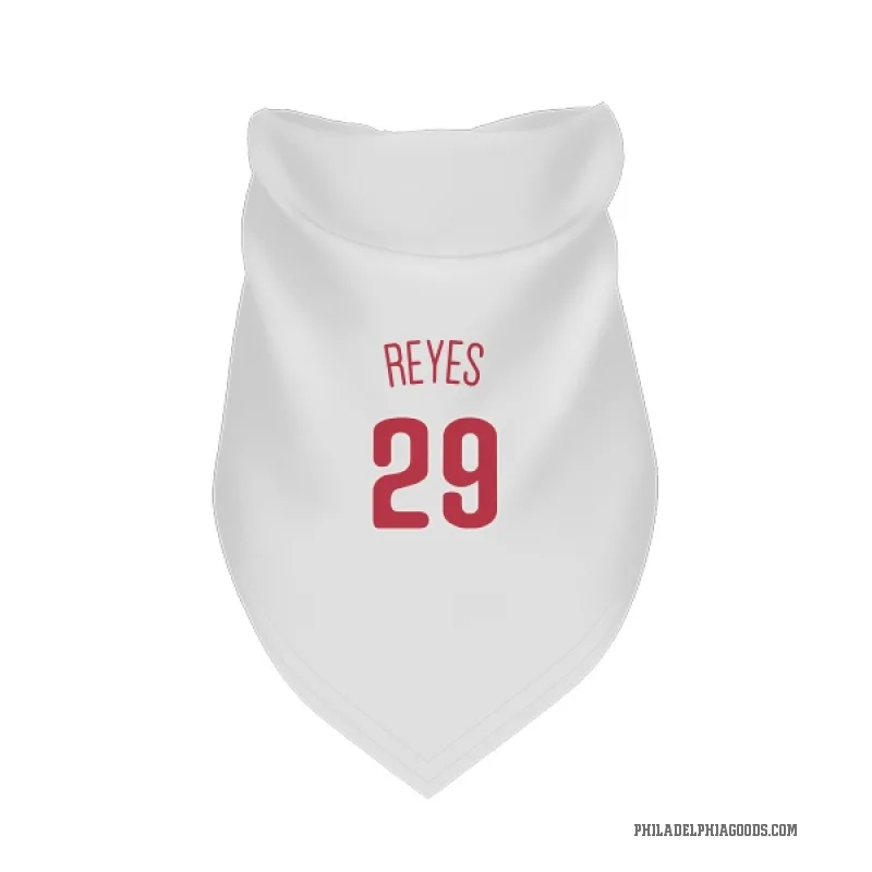 Felix Reyes  Scarlet Philadelphia Phillies  Cat & Dog Pet Bandana