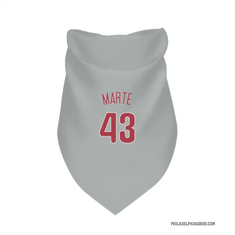 Yunior Marte  Gray Philadelphia Phillies  Cat & Dog Pet Bandana